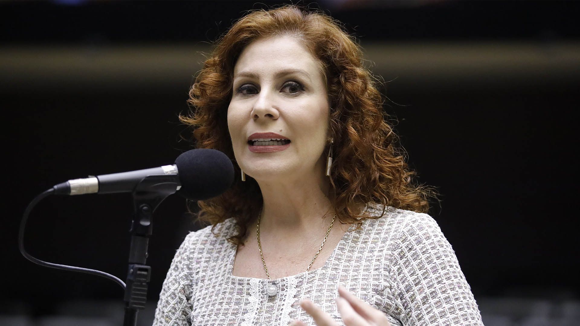 Deputada federal, Carla Zambelli