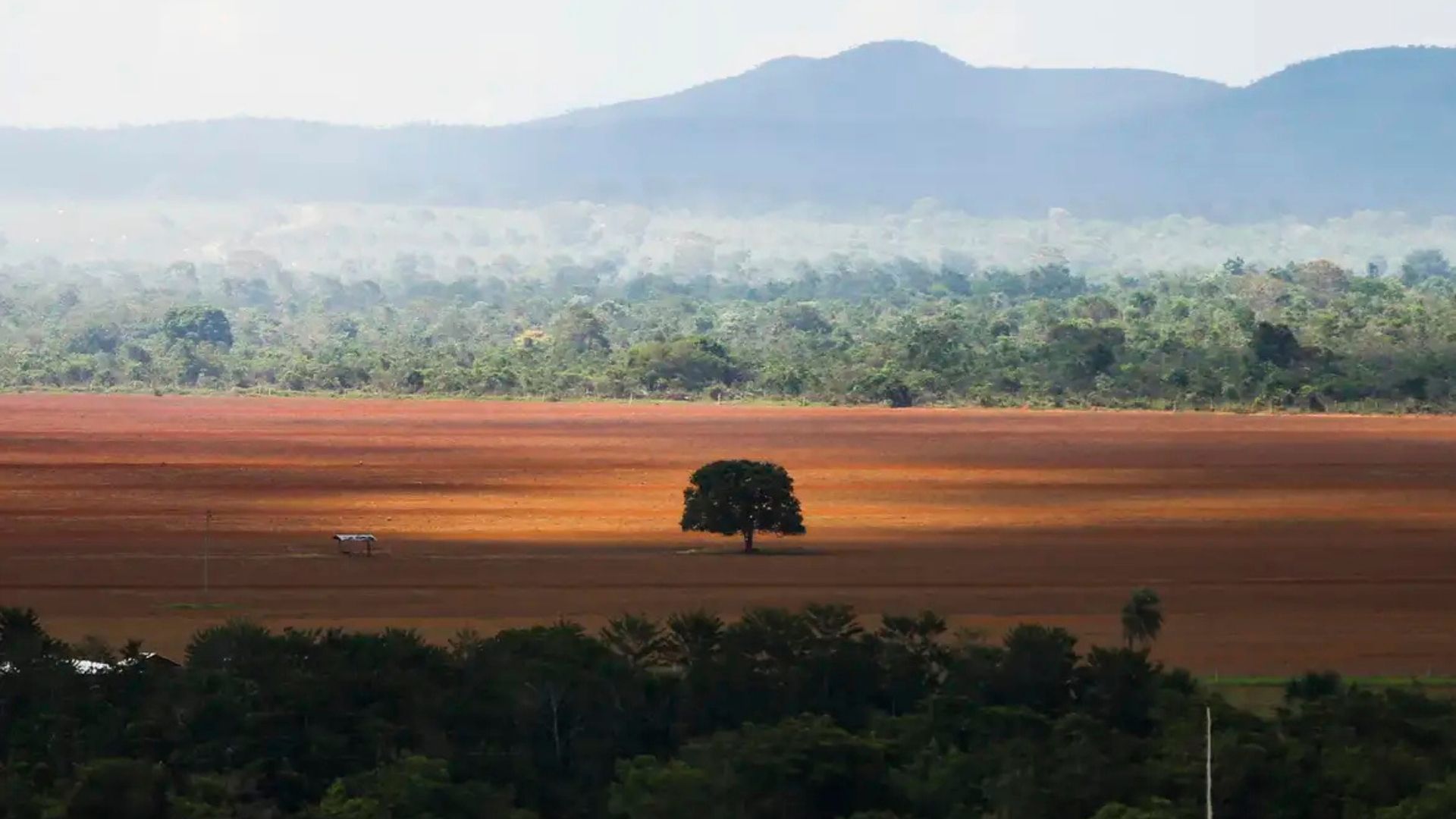 © Marcelo Camargo/Agência Brasil